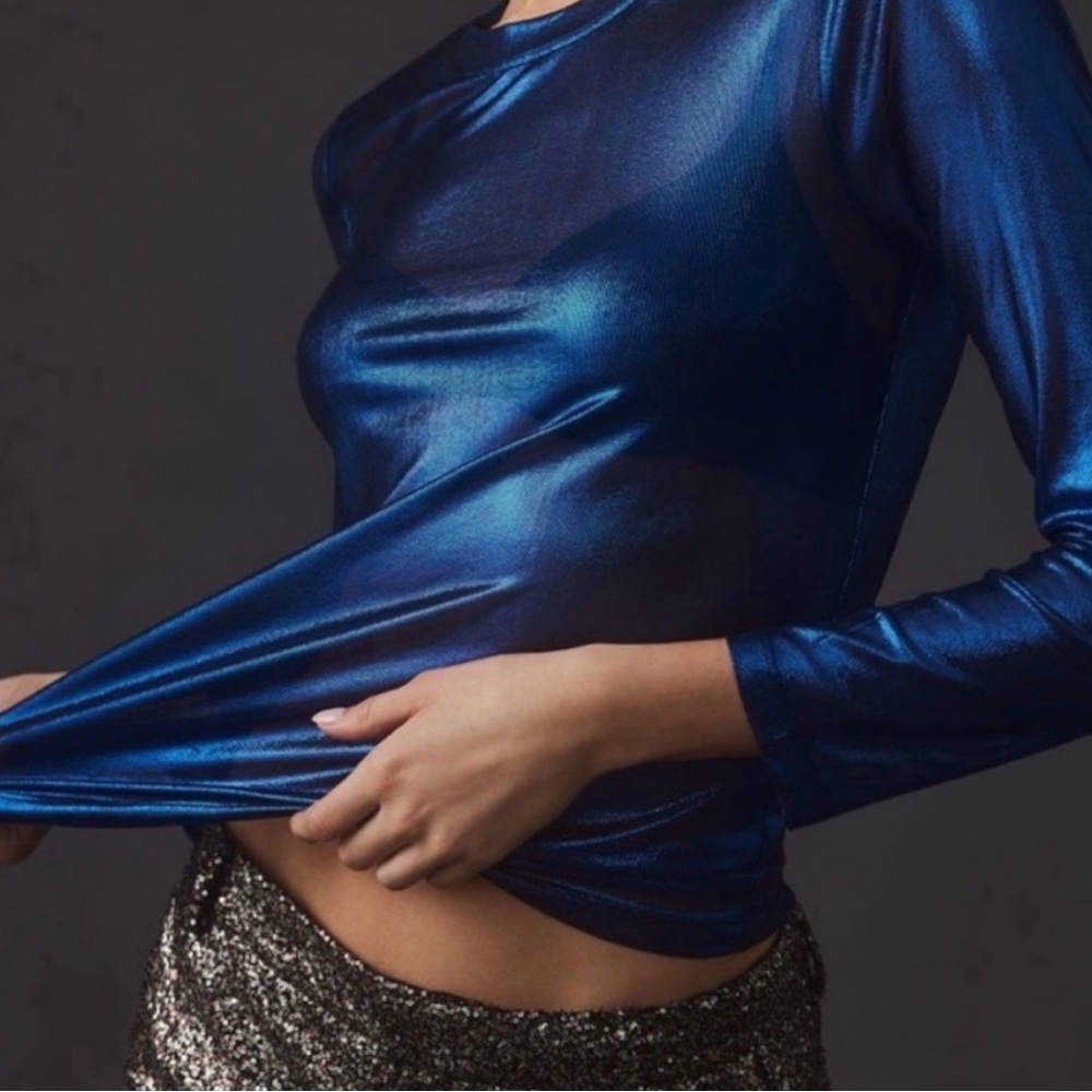 Porridge Anthropologie Metallic Blue Long Sleeve Sheer Top